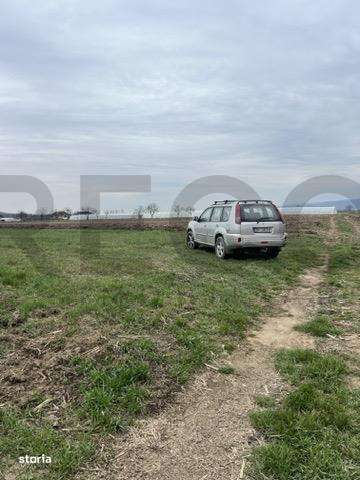 RECO, teren intravilan in Vadu Crisului - Imagine principală: 3/3