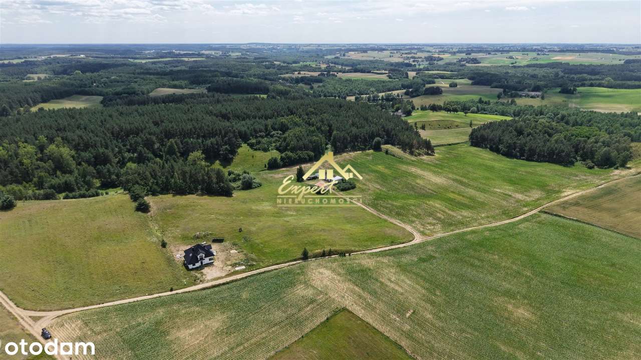 Sprzedam siedlisko wiejskie - Pełny obrazek: 5/20