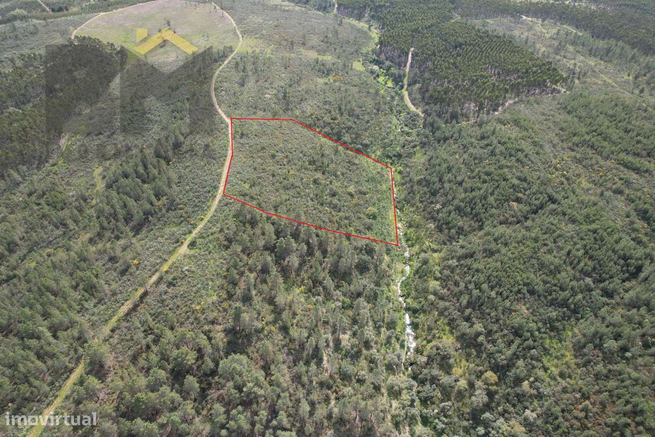 Terreno Rústico  Venda em Salgueiro do Campo,Castelo Branco - Grande imagem: 2/4