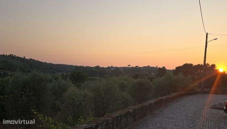 Moradia T3 em Pedra – Travanca de Lagos, Oliveira do Hospital-24