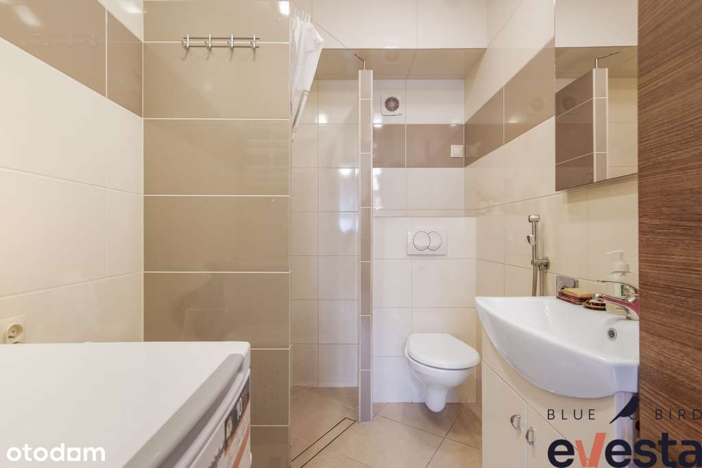 ✧Ostrów Tumski ✧Dla studentów ✧Pod działalność✧ - Pełny obrazek: 4/16