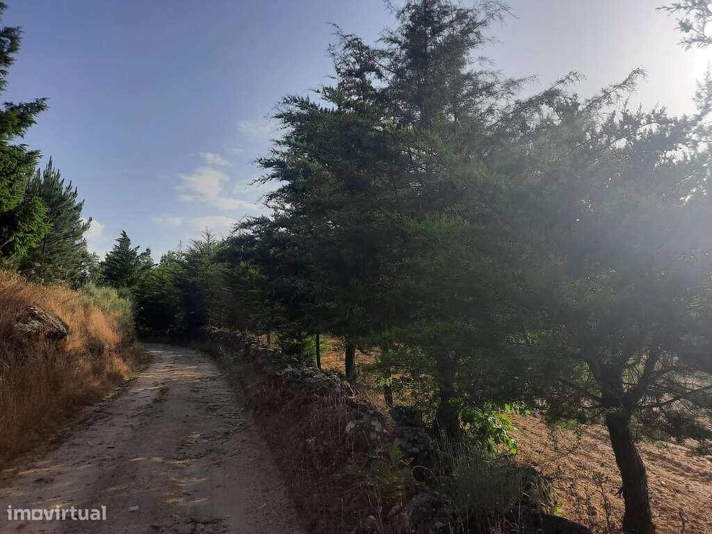 Venda de terreno - Grande imagem: 4/49