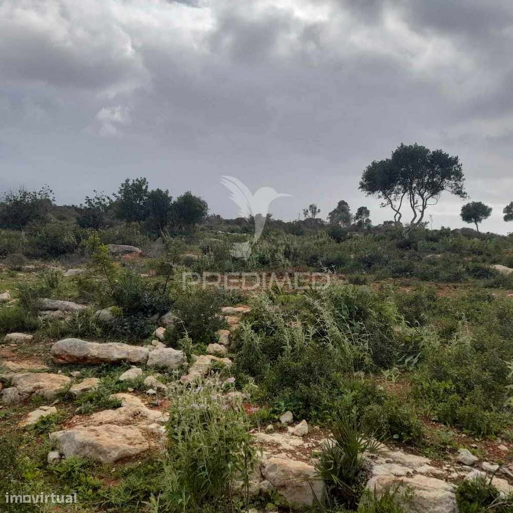 4 terrenos Rústicos  Alecrineira-Cerro Azul - Grande imagem: 4/11