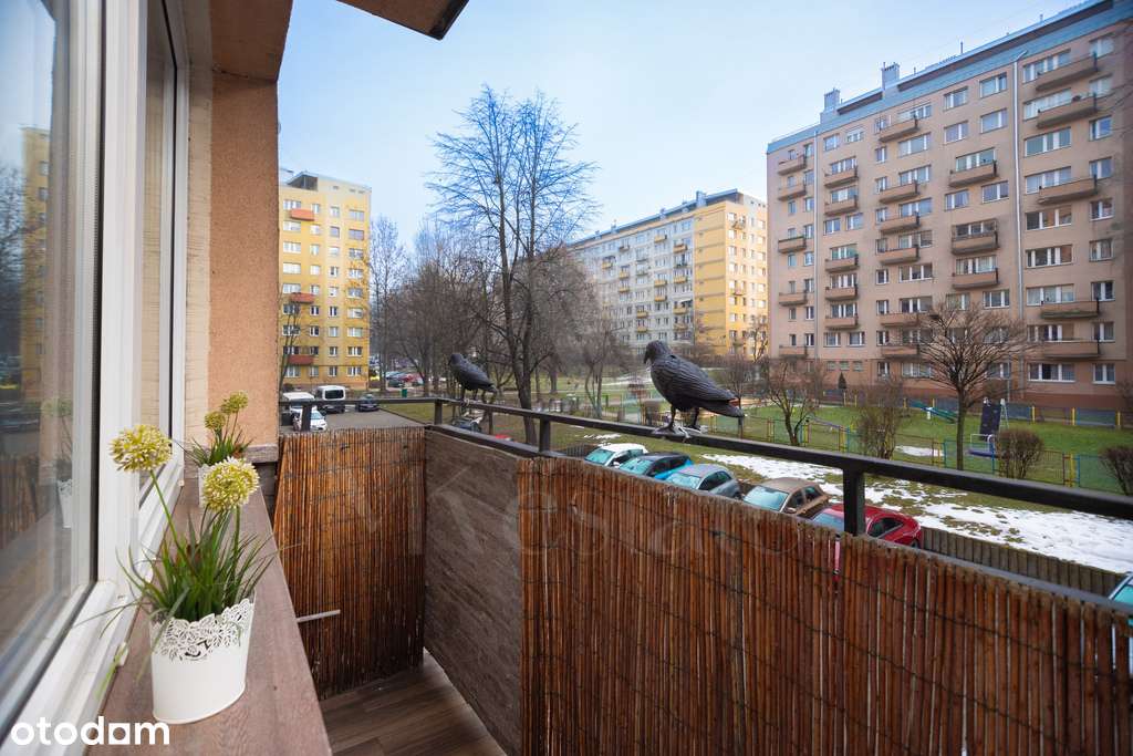 Nowa cena | 2 pokoje | oddzielna kuchnia-16