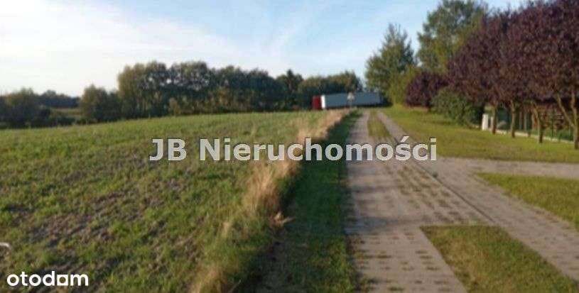 Działka, 1 118 m², Koślinka - Pełny obrazek: 5/7