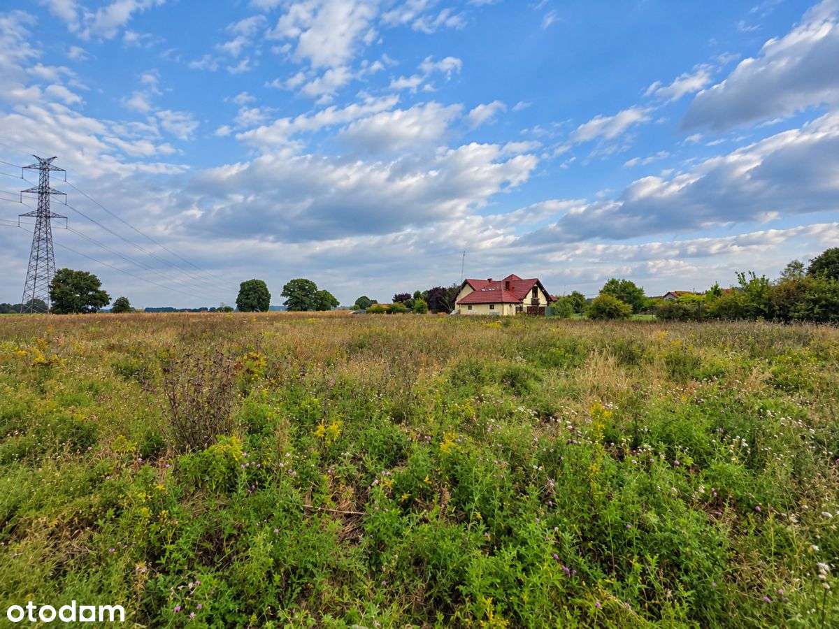 6500 m² w Zaborze Wielkim – las, przestrzeń, WZ-2