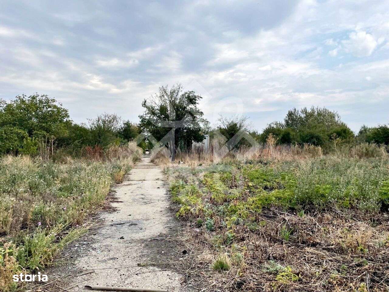 Teren intravilan 5200 mp de vanzare, zona Borsului - Imagine principală: 3/3