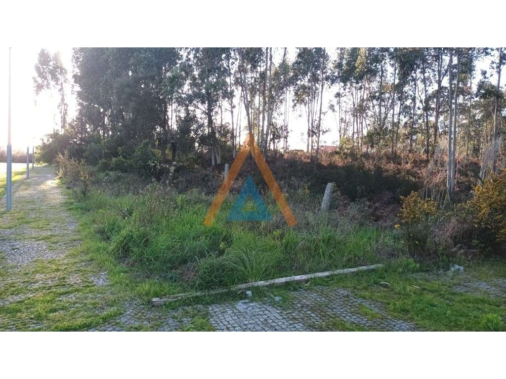 EXCELENTES LOTES TERRENO PARA CONSTRUÇÃO - Grande imagem: 5/7