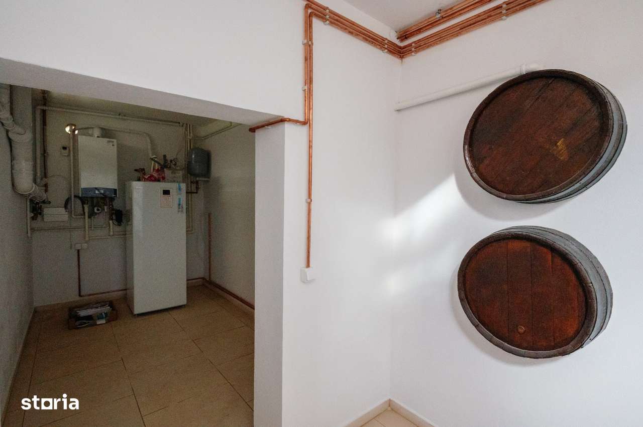 Proprietate unicat stil neoromânesc Ștefănești-12