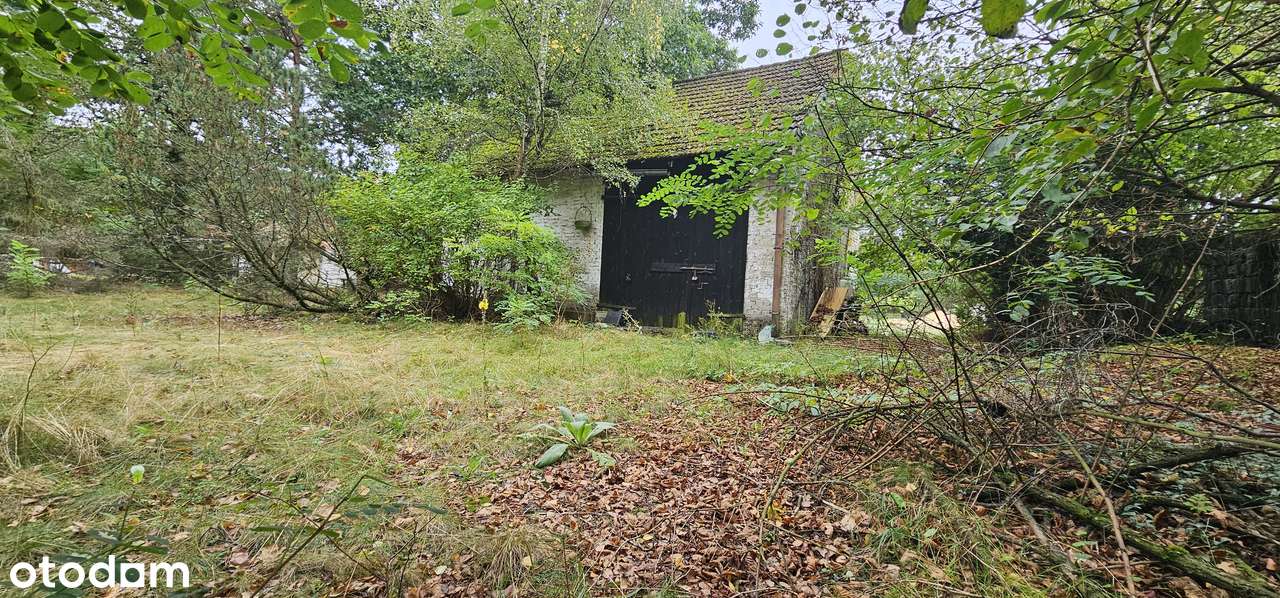 Urocze, zaciszne dwie działki w środku lasu! - Pełny obrazek: 4/11