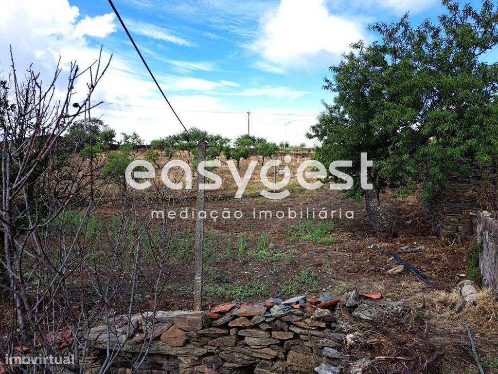 Terreno para construção na aldeia de Sequeiros, Torre de Moncorvo - Grande imagem: 3/20