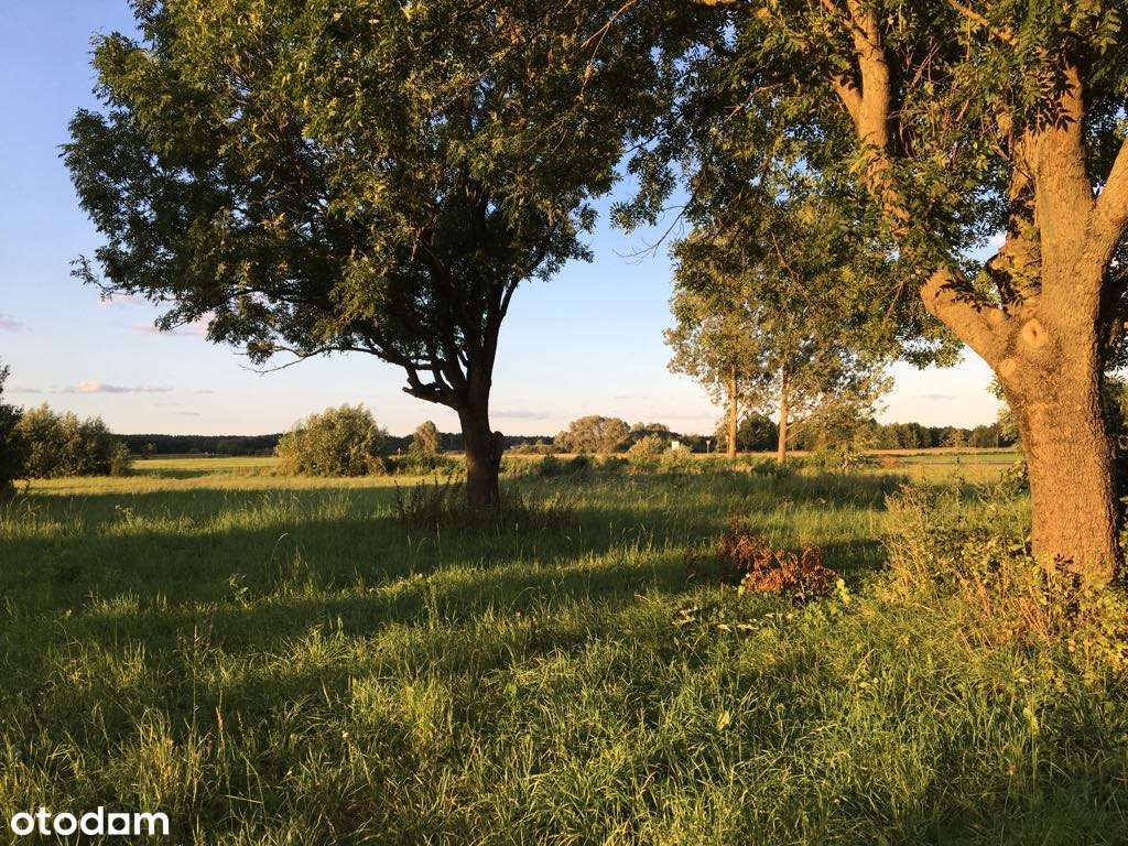 Działka budowlana - Goreń Nowy. - Pełny obrazek: 4/4