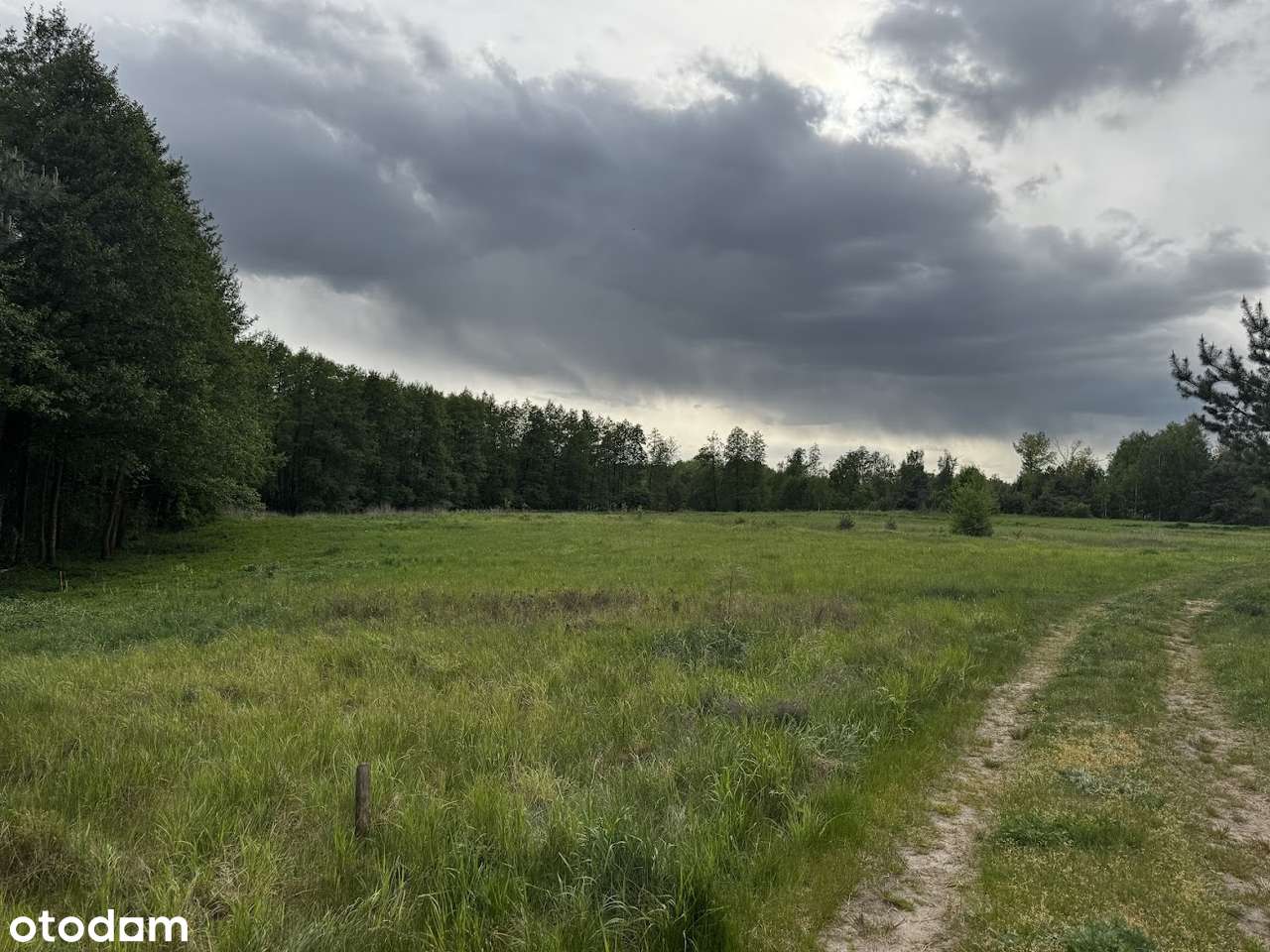 Działka budowlana w pobliżu lasu (200 metrów od jeziora)-10