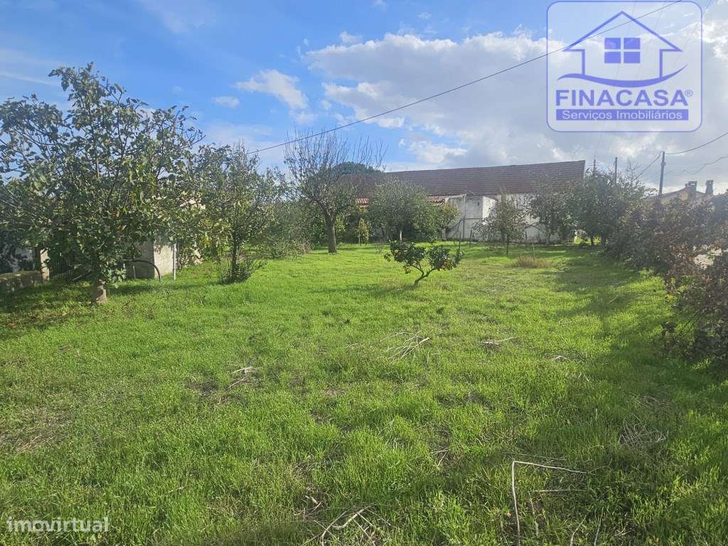 EXCLUSIVO - Quinta com 2069 m2, T1 e um armazém - Asseiceira(Palmela)-8