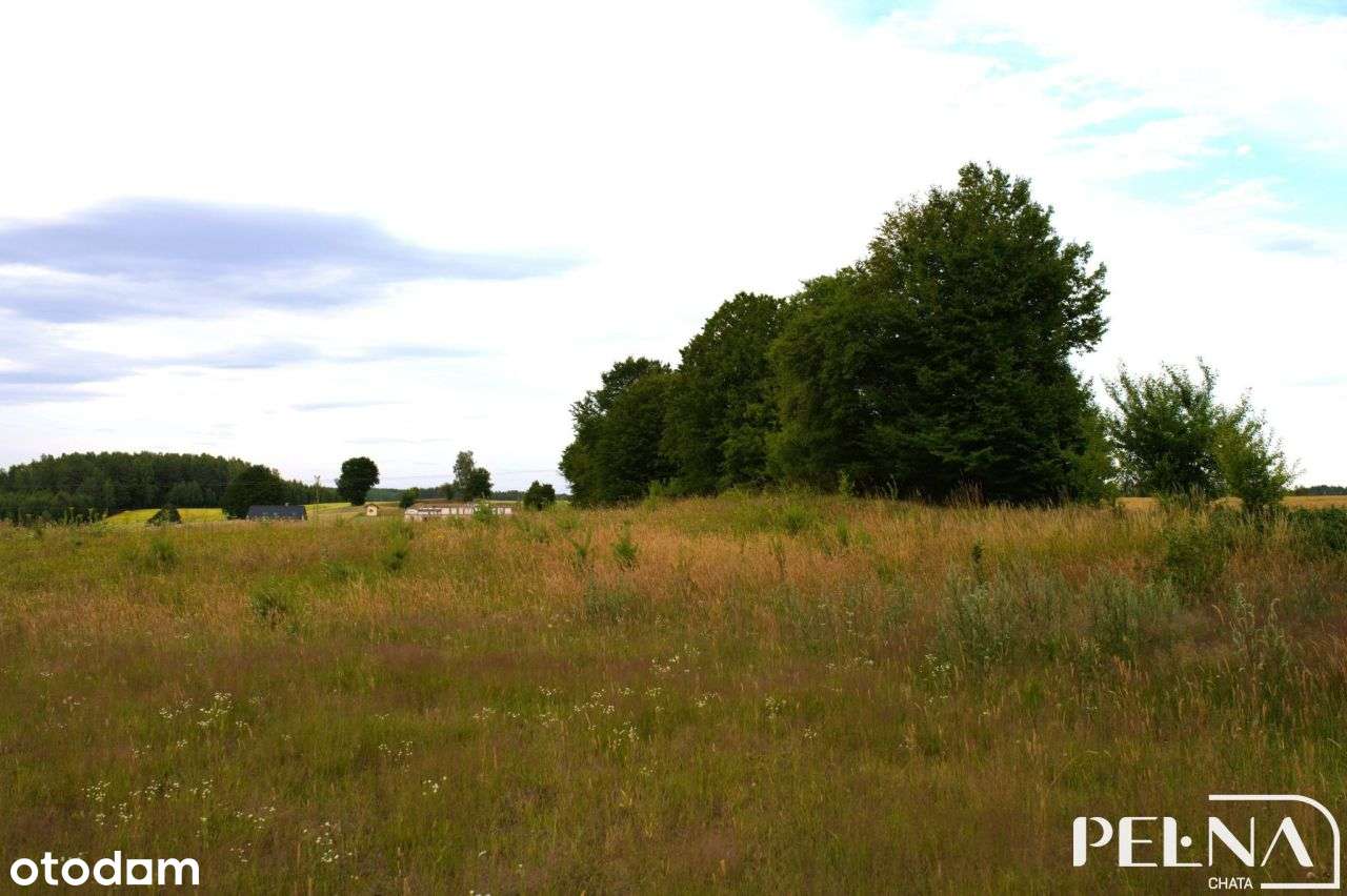 Działka 1300 mkw. nad jeziorem koło Kościerzyny-5