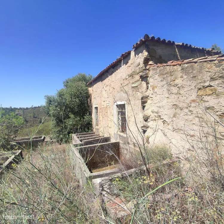 Lagar T1 - Antigo lagar em ruína, para investimento - Grande imagem: 4/20