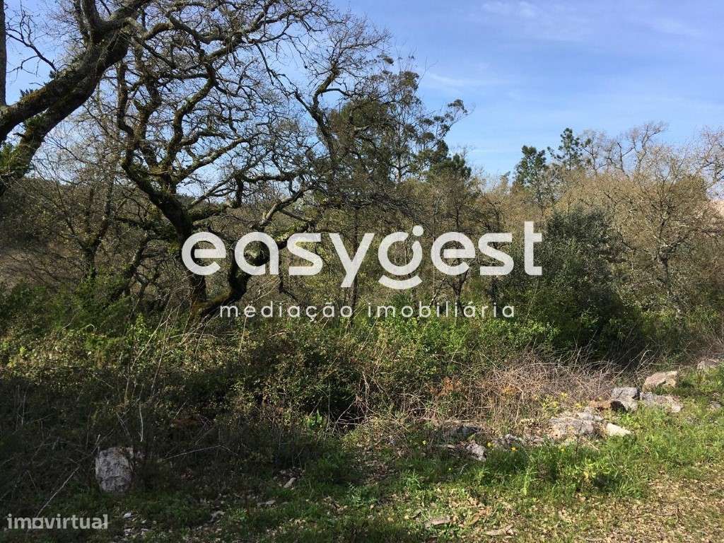 Terreno com possibilidade de construção - Grande imagem: 2/6