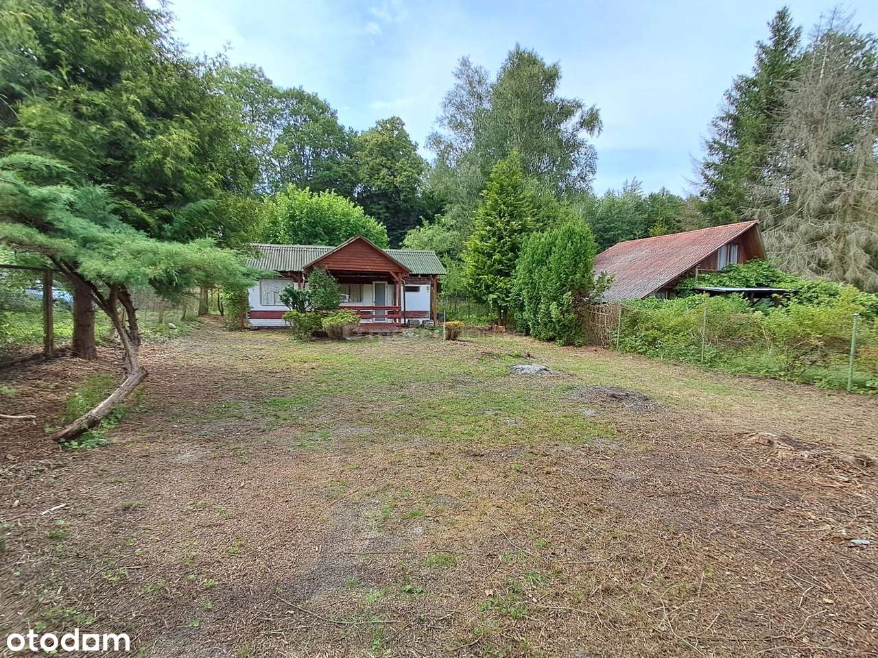 Działka rekreacyjna z domkiem_Jezioro Zagłębocze - Pełny obrazek: 4/20