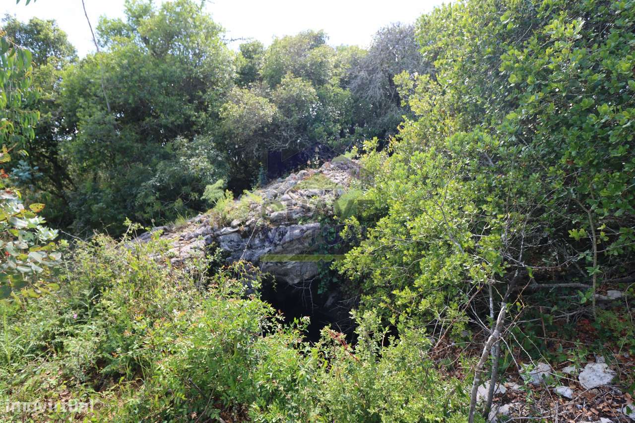 Terreno Rústico c/ 16.520 m2 Reguengo Pequeno - Lourinhã-17