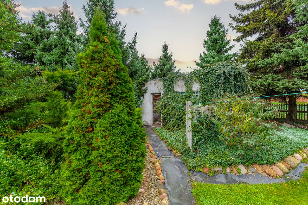 Olszanka dom dwurodzinny-17