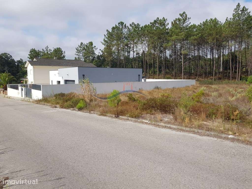 Lote de Terreno - Amor - Grande imagem: 3/13