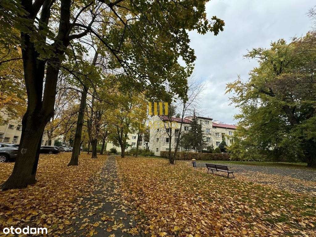 3 pokoje z ogródkiem, Szklanych Domów-15