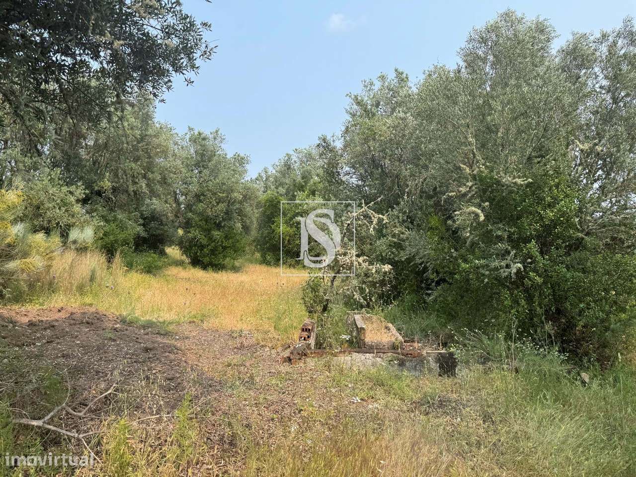 Quintinha em Montargil-7