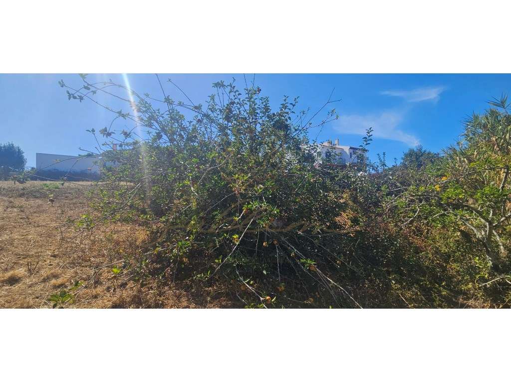 Terreno para construção de 2 Moradias!-5