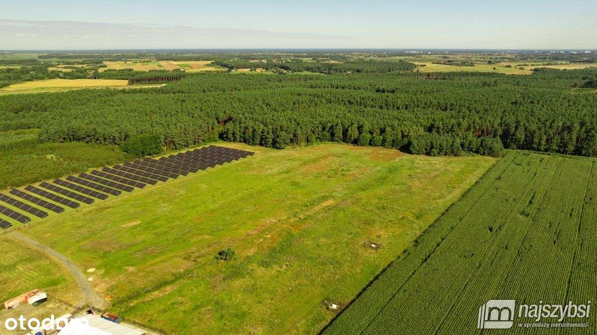 Charzyno- Działka Na Sprzedaż - Pełny obrazek: 4/10