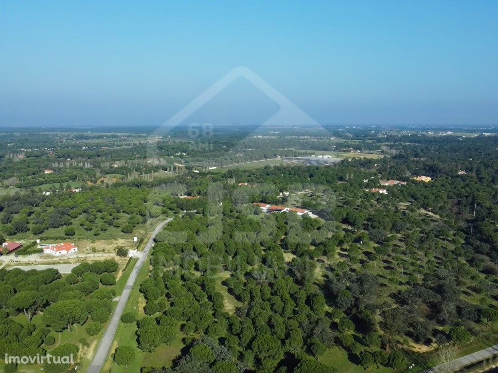 Terreno na Mata do Duque II, Santo Estêvão