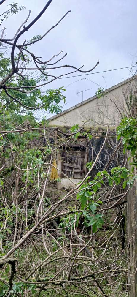 Casa de habitação mais armazem em ruínas, concelho de Torres Novas - Grande imagem: 4/17