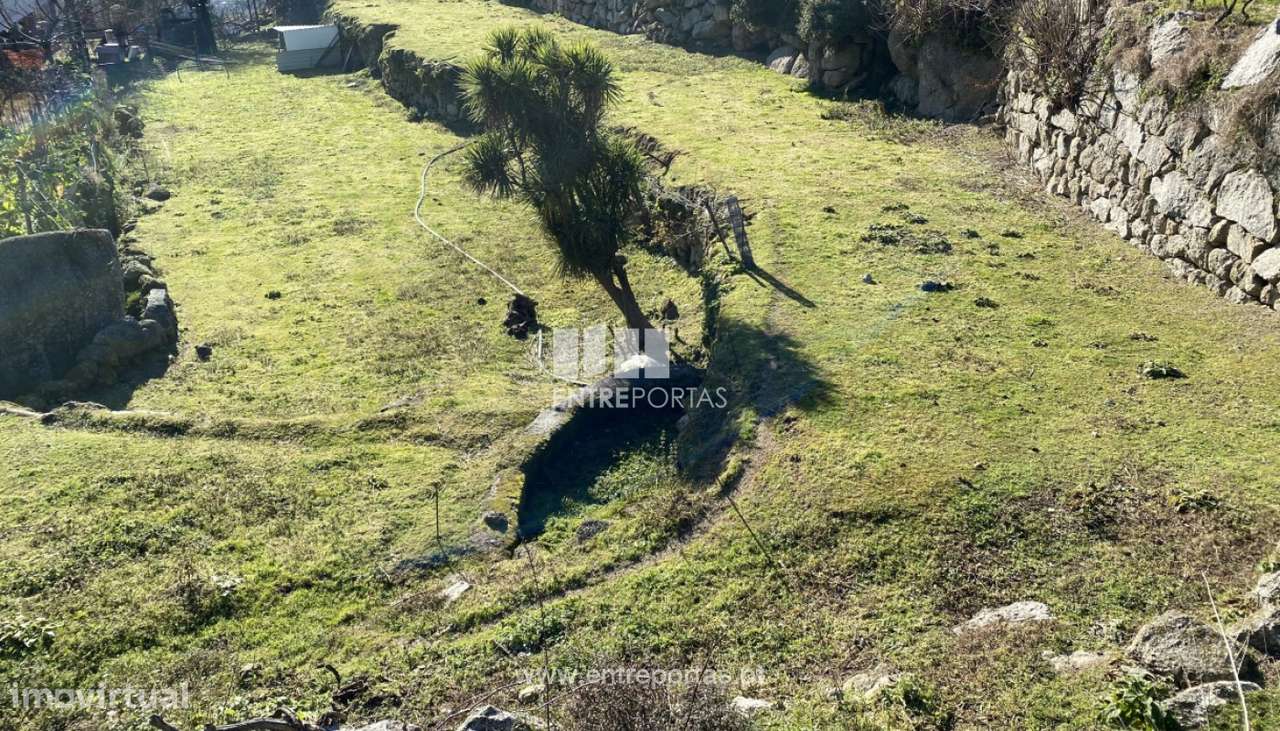 Venda Terreno e Mata com área de 5640 m2, Soalhães, Marco de Canaves - Grande imagem: 3/30