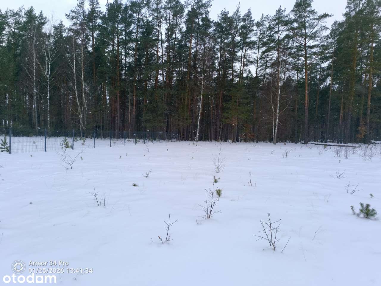 Działka we wsi Piaski z Pozwoleniem na budowę Puszcza Białowieska-6