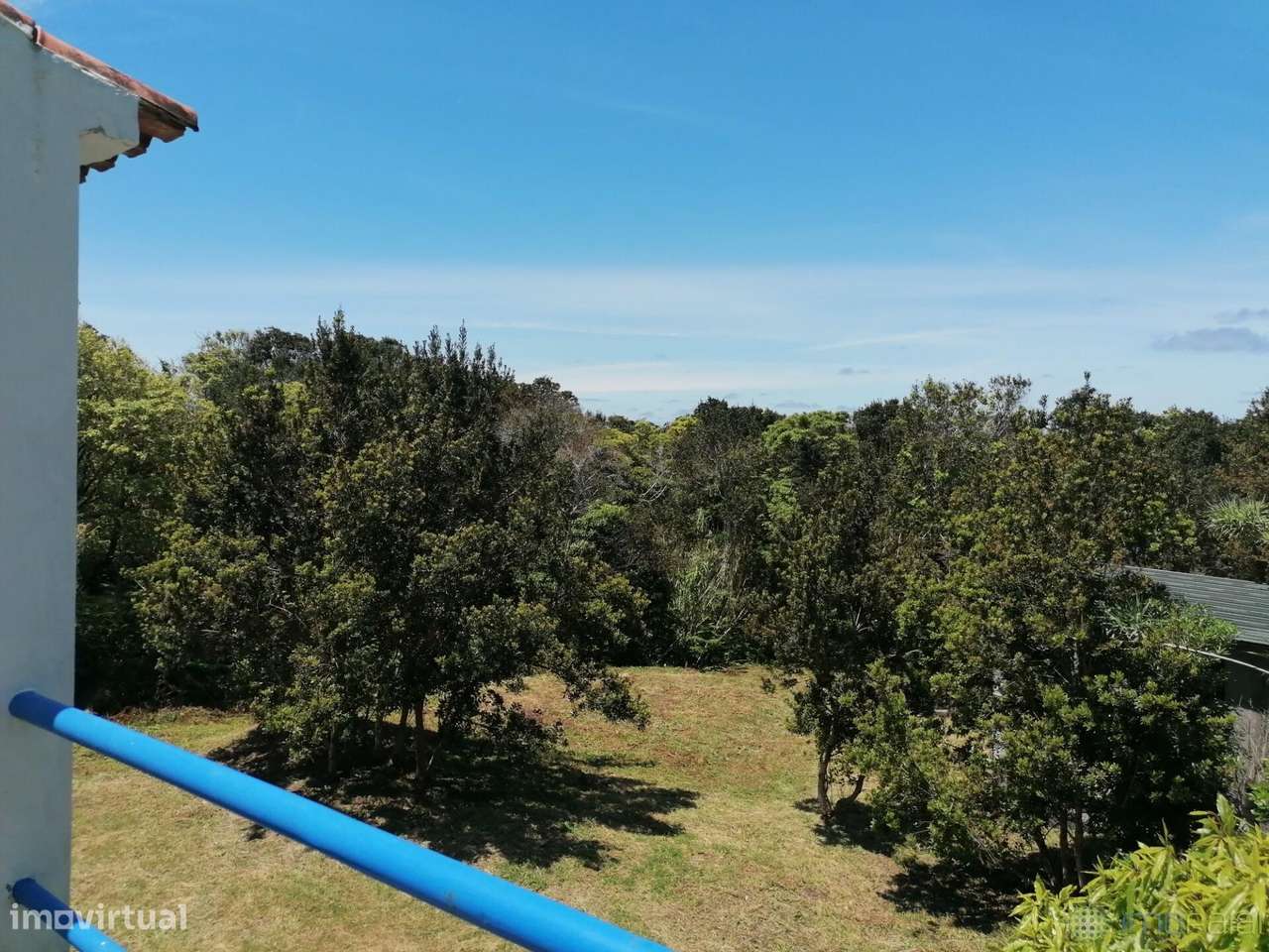 Moradia na canada das adegas no Capelo-16