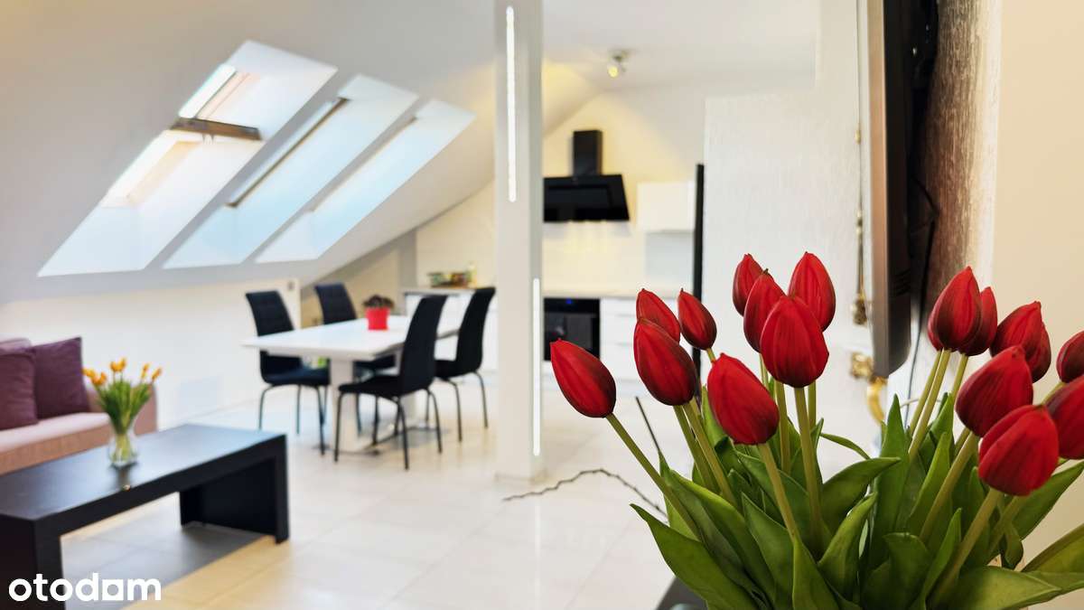 TOP Lokalizacja - 3 pokoje - Całkowicie Bezczynszowe Mieszkanie-0