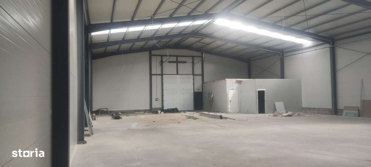 2 hale noi 2025 Afumati- Moara Domneasca - Imagine principală: 4/8