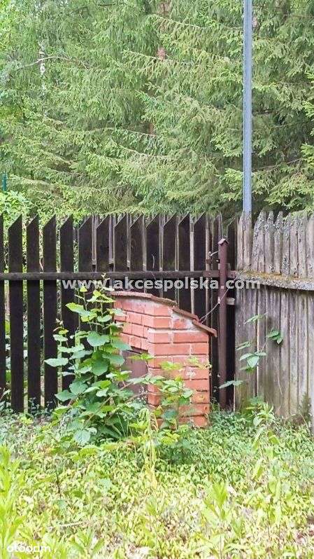 działka z aktualną Wz i starodrzewem-7