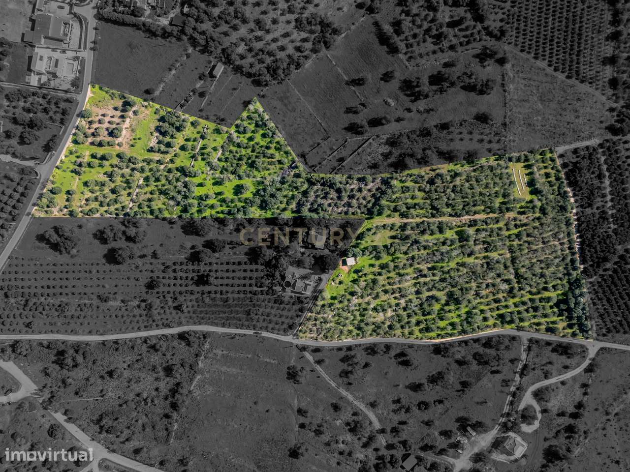 3 Terrenos Rústicos com 3,25 ha – Torre e Cercas, Silves - Grande imagem: 2/12