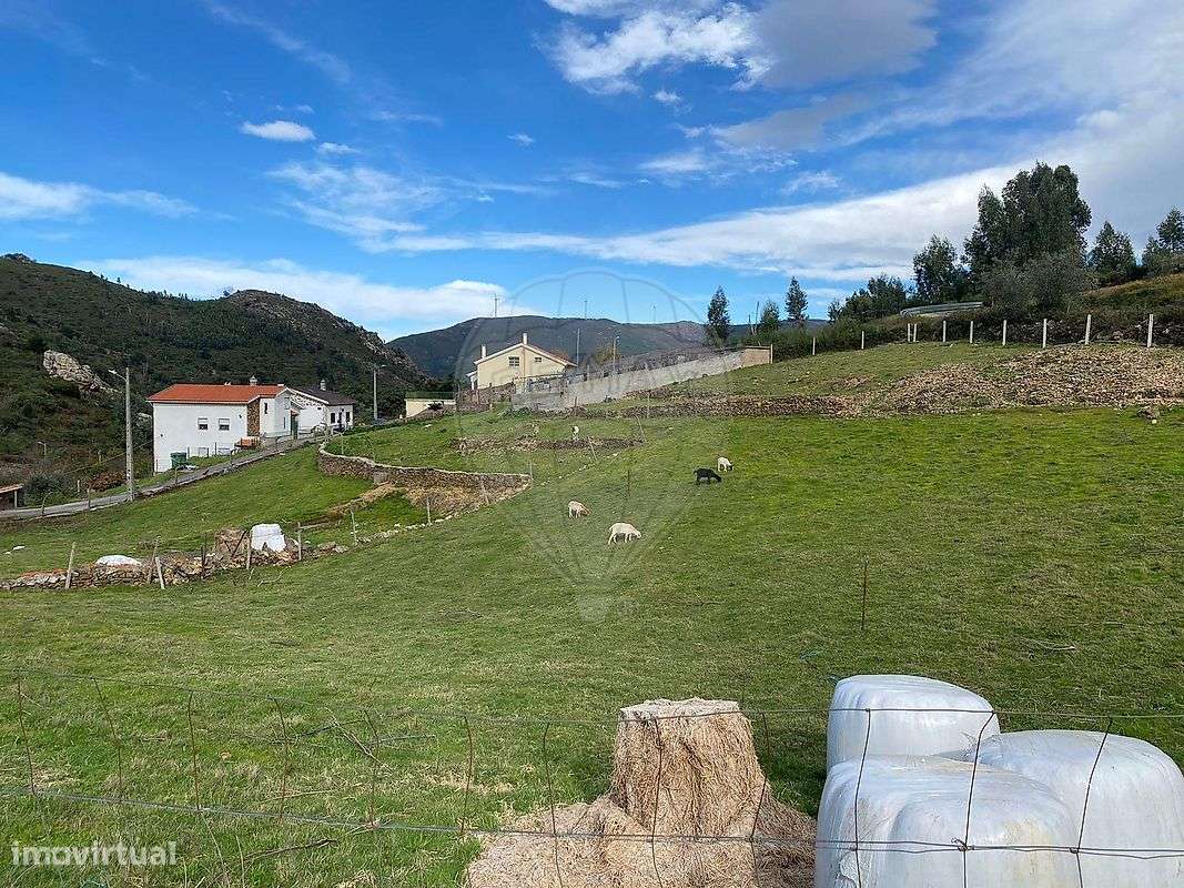 Terreno  para venda - Grande imagem: 4/7