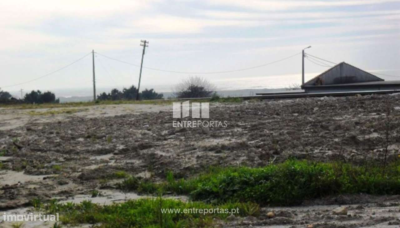 Terreno - Carreço - Grande imagem: 1/30