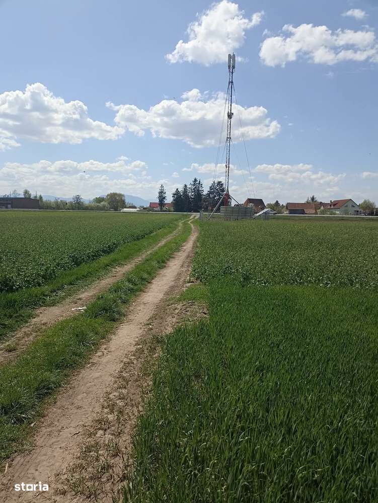 De vânzare teren extravilan langa drumul DN11-1