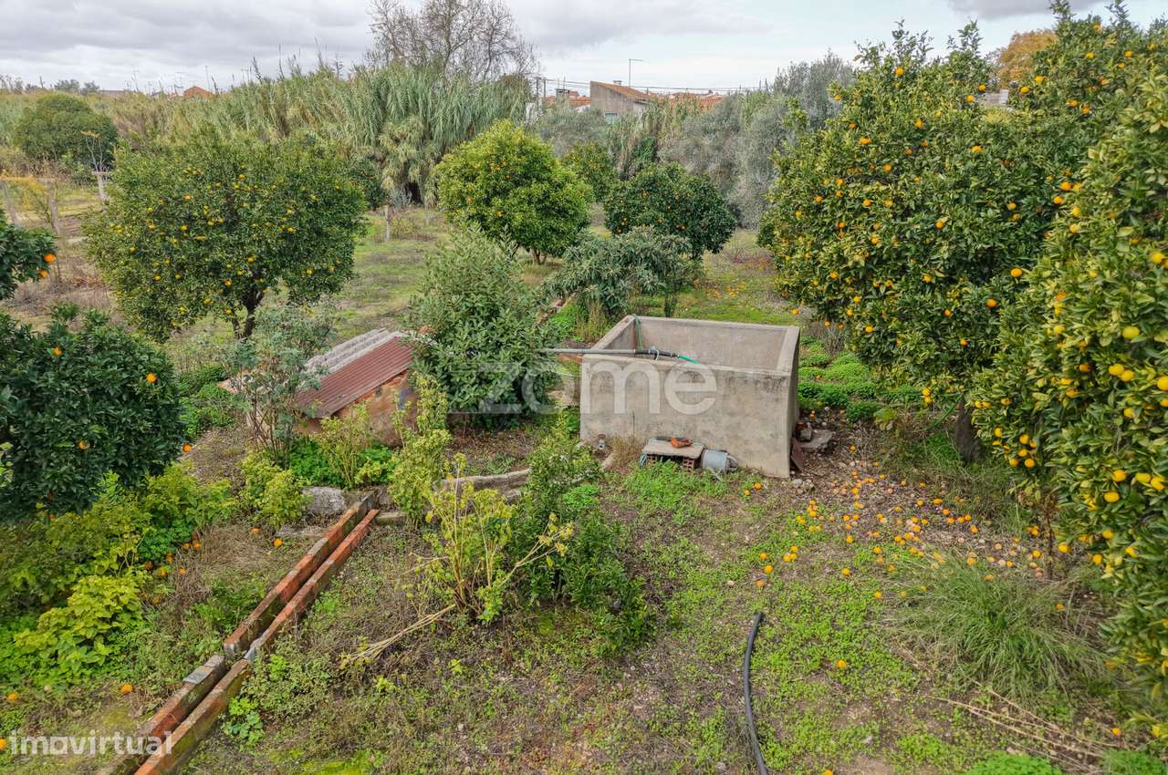 Moradia T4 Riachos - Torres Novas-8