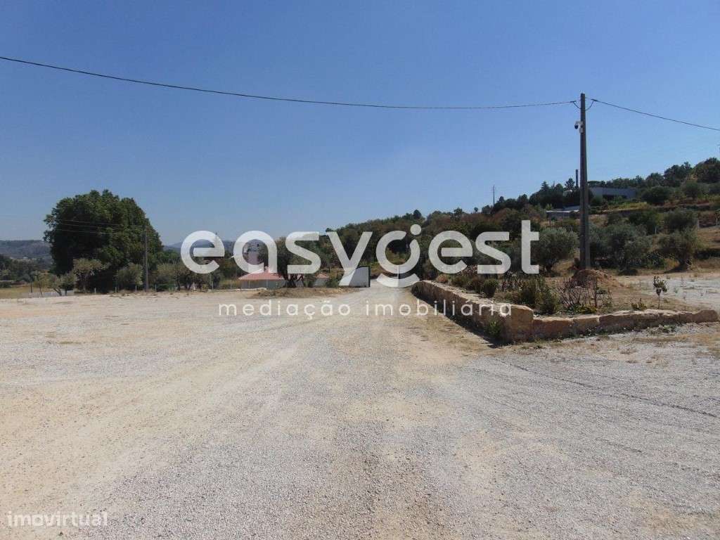 Quinta com Restaurante, Alojamento, Praia Fluvial e Produção de azeite - Grande imagem: 3/49