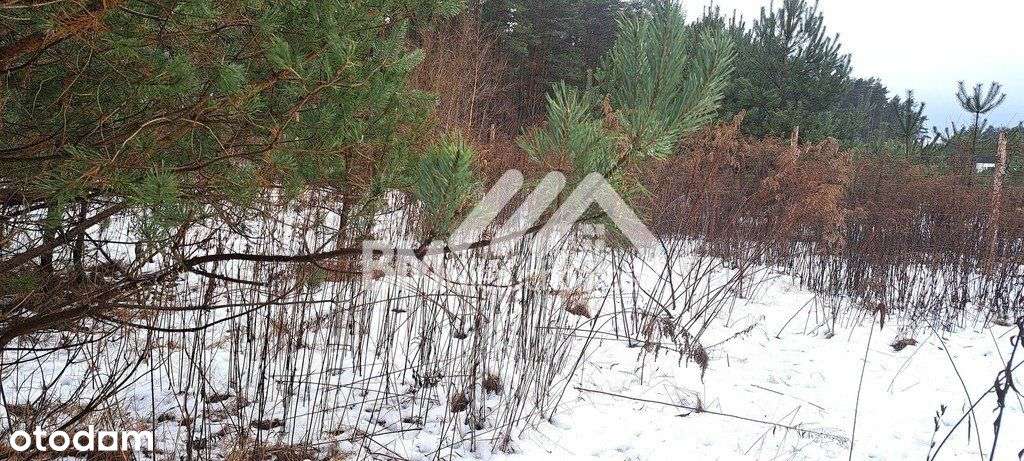 Działki w otoczeniu leśnym-2