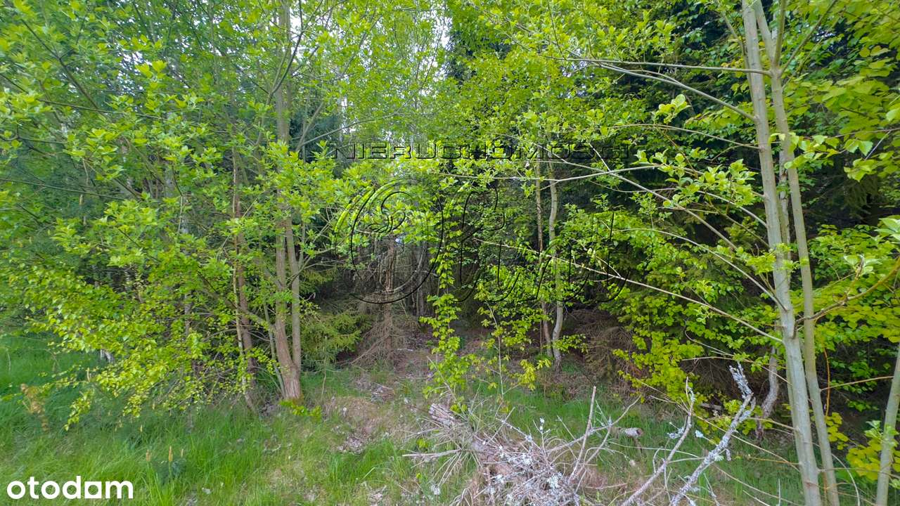 Magiczny dom w stylu retro-5