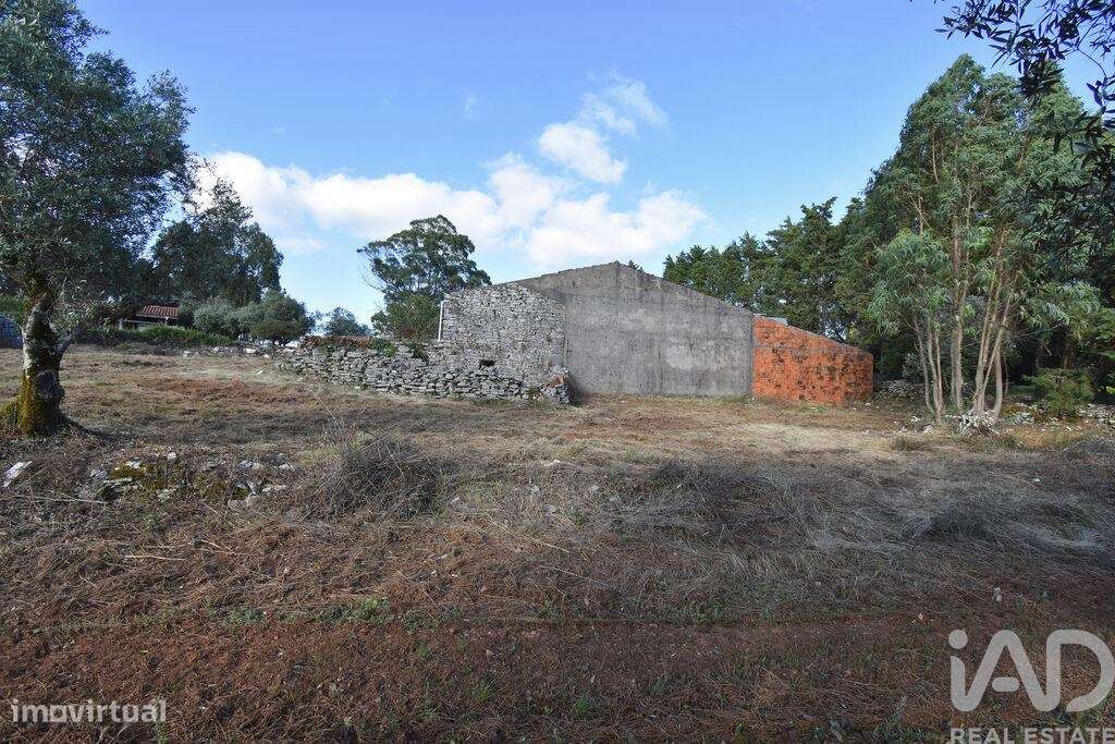 Terreno em Condeixa-a-Velha e Condeixa-a-Nova - Grande imagem: 4/27