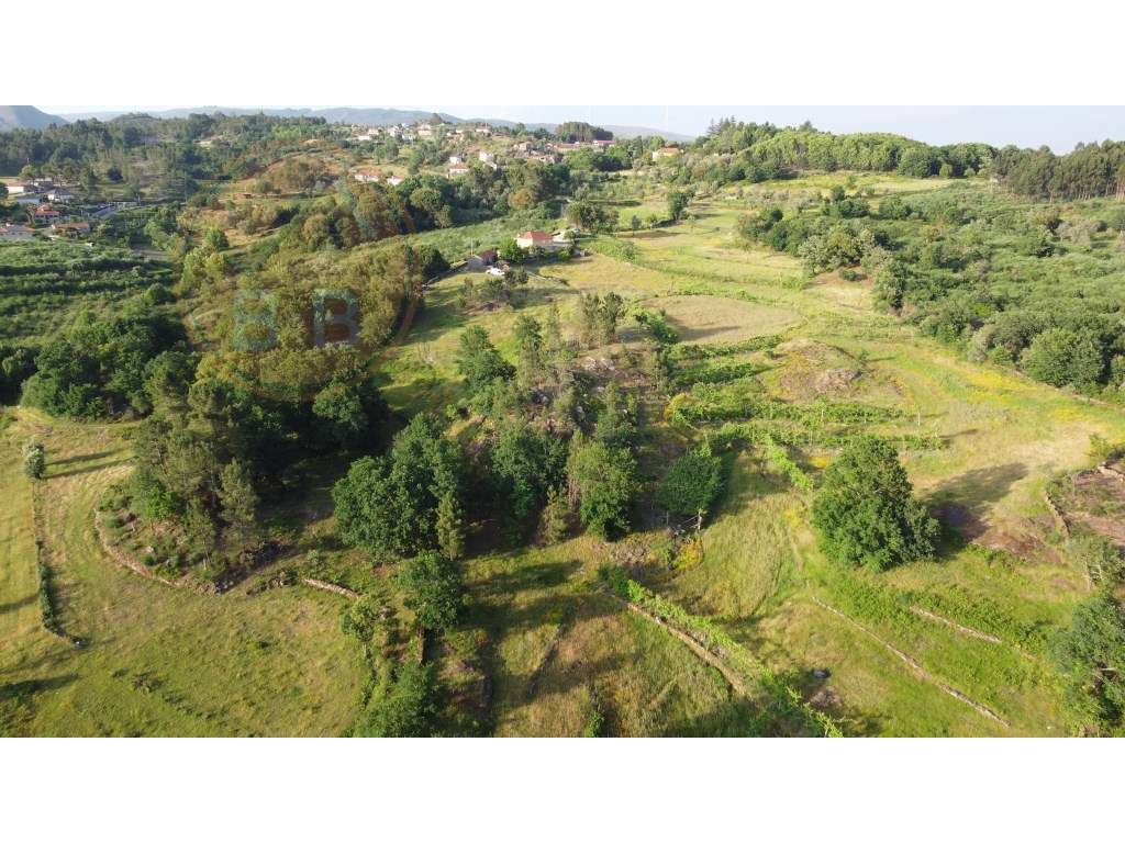 Quinta Rural em Leiradas, Rio Douro, Cabeceiras de Basto-4