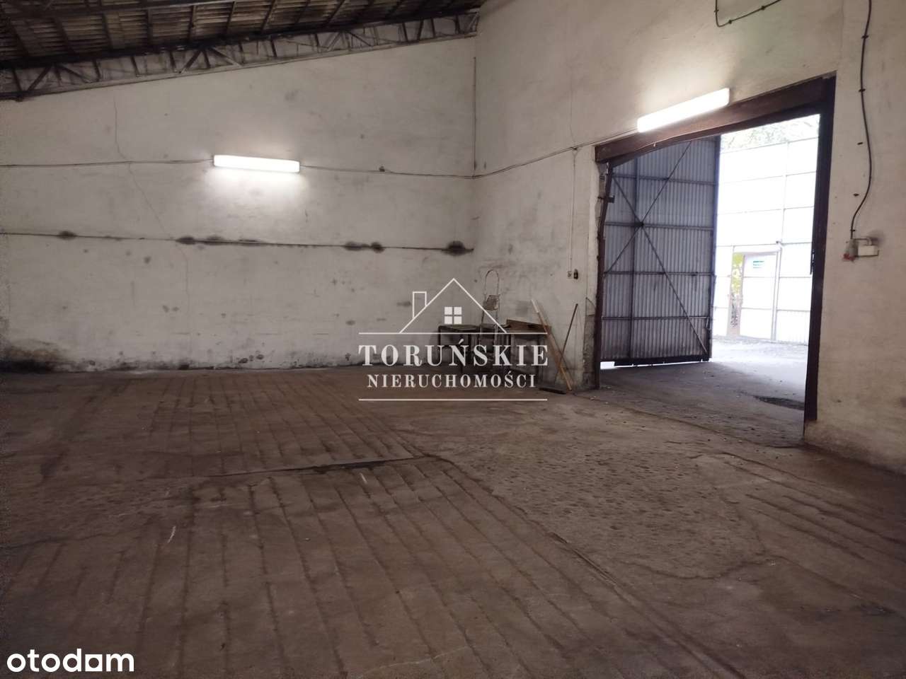 Hala magazynowa na wynajem Rudak - Pełny obrazek: 5/7