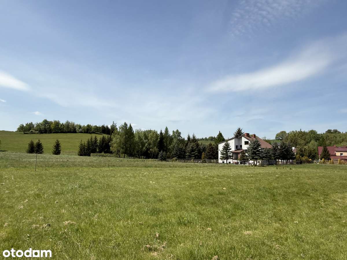 Dom wolnostojący z piękna działką we wsi Jabłów-0