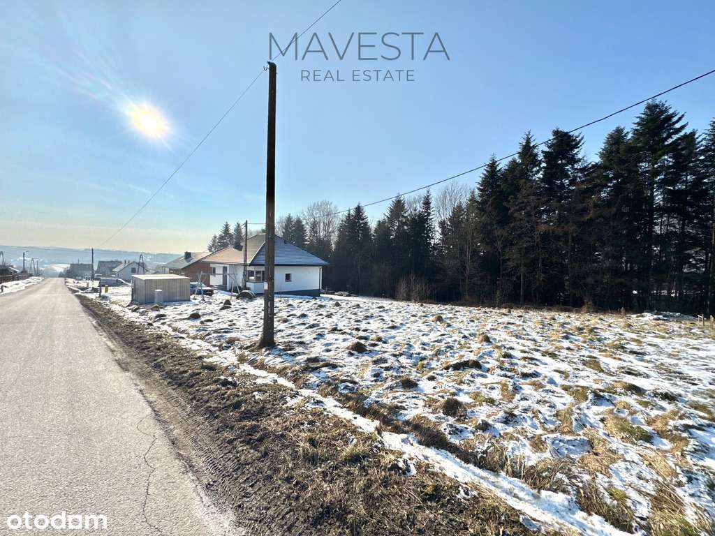 Działka budowlana w sąsiedztwie zagajnika-1